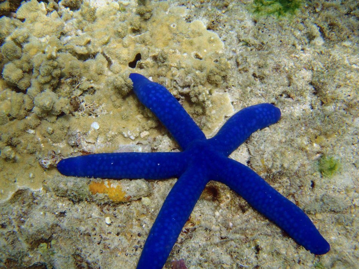 Barefoot Manta Island Resort Drawaqa Island Luaran gambar